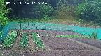 kannonmori-20250522101017.jpg