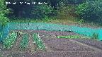 kannonmori-20250522103017.jpg