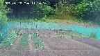 kannonmori-20250522111016.jpg