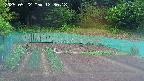 kannonmori-20250522123019.jpg