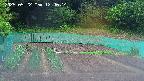 kannonmori-20250522124016.jpg