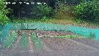kannonmori-20250522125017.jpg