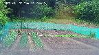 kannonmori-20250522131016.jpg