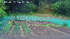 kannonmori-20250522132016.jpg