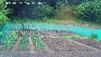 kannonmori-20250522134016.jpg