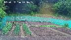 kannonmori-20250522140017.jpg