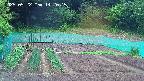 kannonmori-20250522142016.jpg