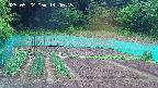 kannonmori-20250522144017.jpg