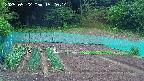 kannonmori-20250522152015.jpg