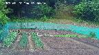 kannonmori-20250522155017.jpg