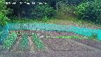 kannonmori-20250522161018.jpg