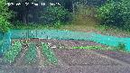 kannonmori-20250522162017.jpg