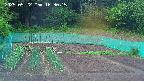 kannonmori-20250522163017.jpg