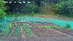 kannonmori-20250522164014.jpg
