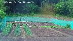 kannonmori-20250522165016.jpg