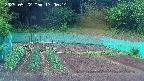 kannonmori-20250522170016.jpg