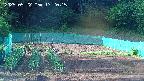 kannonmori-20250522172017.jpg