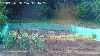 kannonmori-20250522173017.jpg