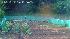 kannonmori-20250522174017.jpg