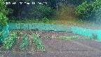 kannonmori-20250522181014.jpg
