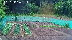 kannonmori-20250522183016.jpg