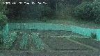 kannonmori-20250522192017.jpg