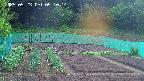 kannonmori-20250523051015.jpg