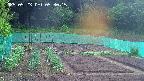 kannonmori-20250523053017.jpg