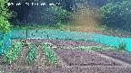 kannonmori-20250523055015.jpg
