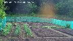 kannonmori-20250523061018.jpg