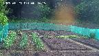 kannonmori-20250523062016.jpg