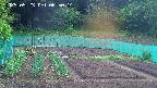kannonmori-20250523065016.jpg