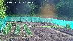 kannonmori-20250523070017.jpg