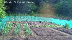 kannonmori-20250523071017.jpg