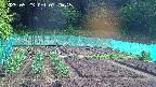 kannonmori-20250523072016.jpg
