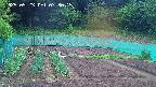 kannonmori-20250523073016.jpg
