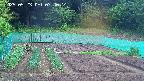 kannonmori-20250523074015.jpg