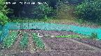kannonmori-20250523080016.jpg