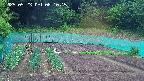 kannonmori-20250523081016.jpg