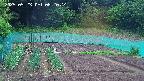 kannonmori-20250523082015.jpg