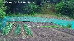 kannonmori-20250523083016.jpg