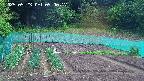 kannonmori-20250523090017.jpg
