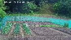 kannonmori-20250523091018.jpg