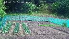 kannonmori-20250523095016.jpg