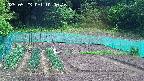 kannonmori-20250523100017.jpg
