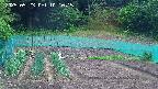 kannonmori-20250523101015.jpg