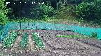 kannonmori-20250523102015.jpg