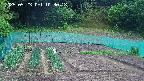 kannonmori-20250523103018.jpg