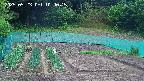 kannonmori-20250523104016.jpg