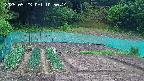 kannonmori-20250523105015.jpg